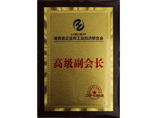 高級(jí)副會(huì)長(zhǎng)